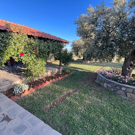 Villa Giannoula غيراكيني المظهر الخارجي الصورة