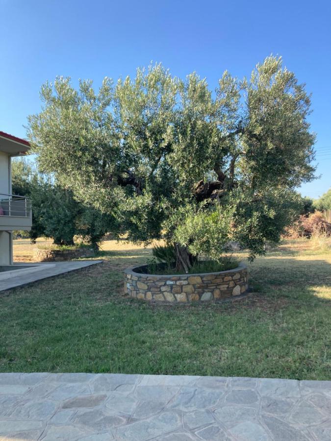 Villa Giannoula غيراكيني المظهر الخارجي الصورة
