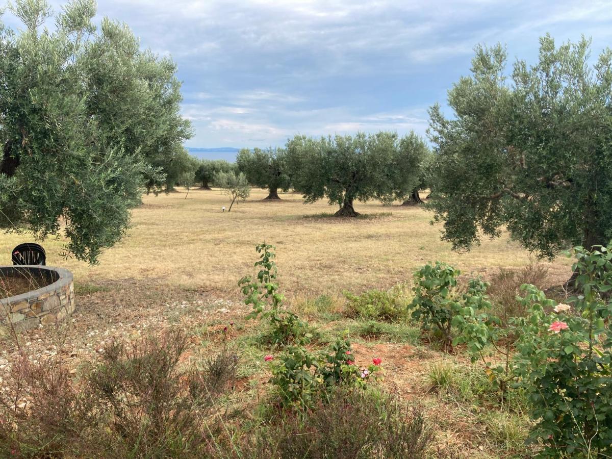 Villa Giannoula غيراكيني المظهر الخارجي الصورة