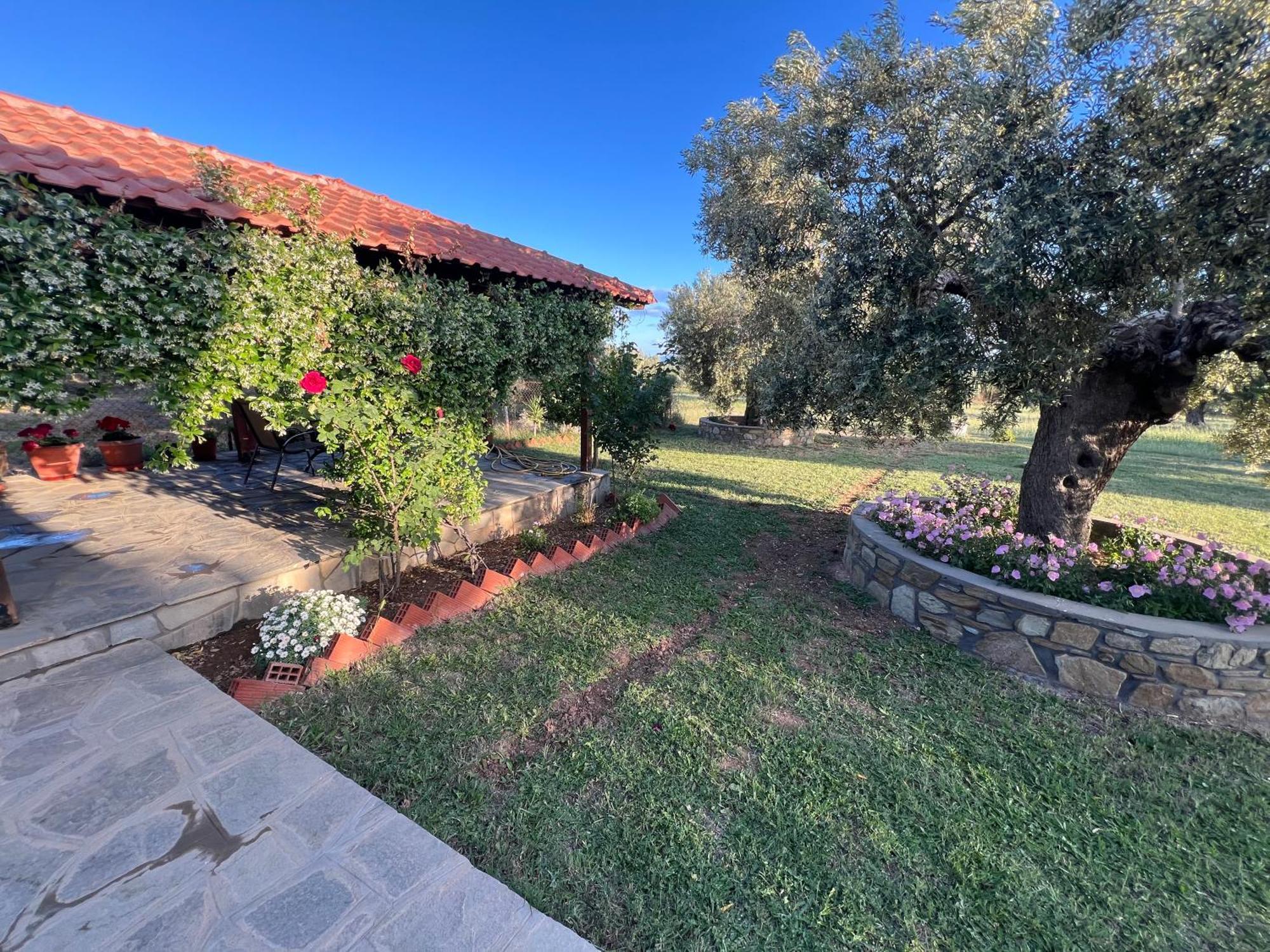 Villa Giannoula غيراكيني المظهر الخارجي الصورة