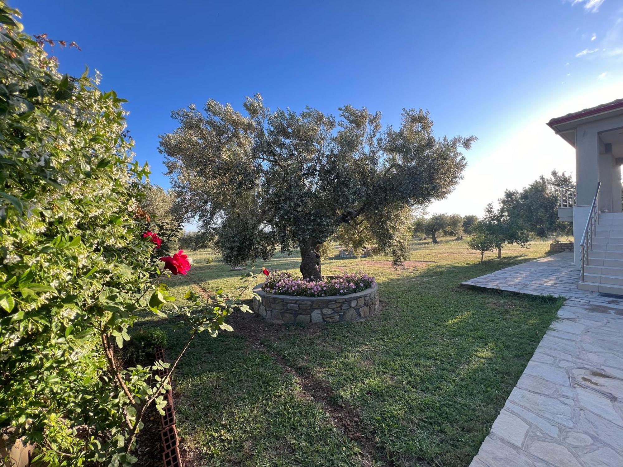 Villa Giannoula غيراكيني المظهر الخارجي الصورة
